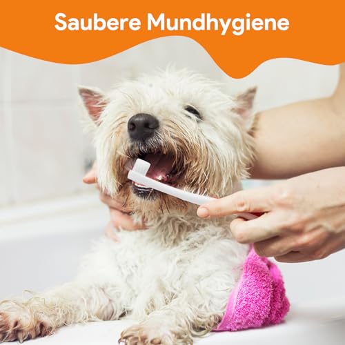 Hunde Zahnpflege Set, Hundezahnbürste Fingerling Wiederverwendbar, Hundezahnpasta Gegen Zahnstein Set,Hundezahnpasta Gegen Zahnstein,Hunde Zahnbürste,Hunde Zahnpflege,hundezahnbürste Set