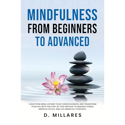 MINDFULNESS FROM BEGINNERS TO ADVANCED Audiolibro Por D. Millares arte de portada