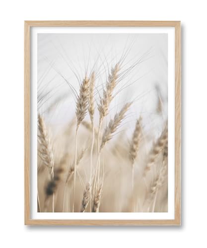 HesenDot Wheat Field Framed Wall Art,12x16in Nature Artwork Canvas Print,Rustic