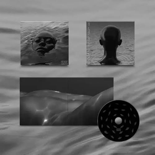 RAVEN [輸入盤CD] (WARPCD320)_1665