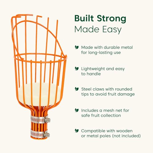 Image of Kyari Fruit Plucker Without Rod | Durable Metal Claw for Easy Fruit Harvesting | Lightweight, Rust-Resistant Tool for Mangoes, Guavas, and More