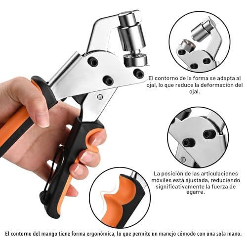 Miniatura 3 de 