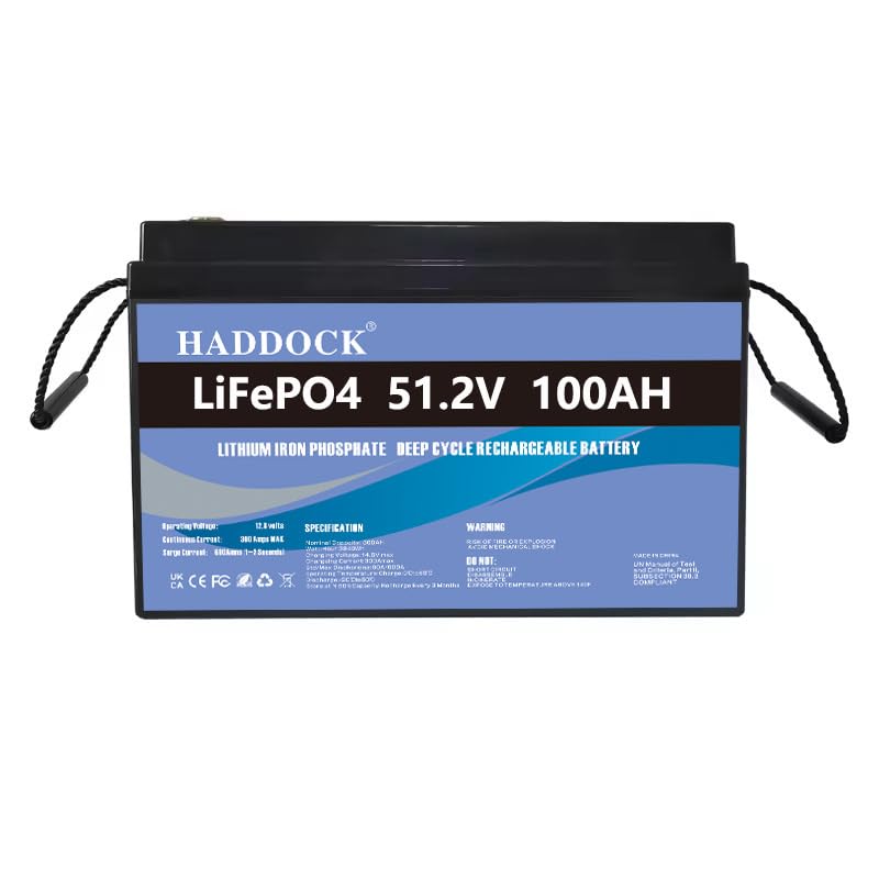 Batería LiFePO4 de 48V (51,2V) 100 Ah batería de fosfato de hierro y litio, reemplazo de...