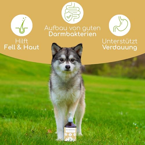 Bio-Bierhefe für Hunde und Katzen | 500 ml flüssige Bierhefe | 100% Bio zur Haut- und Fellpflege, Futterergänzung mit Vitamin B, reich an Mineralien & Spurenelementen, DE-ÖKO-060