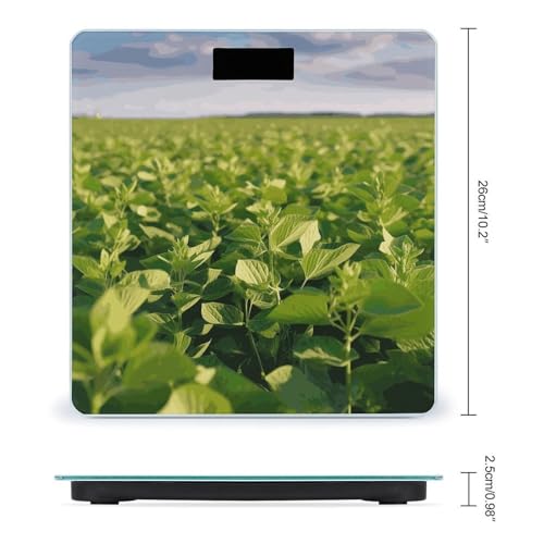 Báscula digital de baño Smart Scale vidrio templado miniatura 2