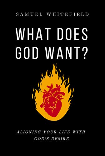 What Does God Want?: Aligning Your Life with God's Desire (English Edition)