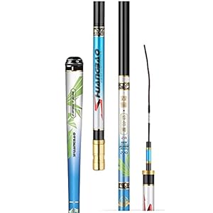 Visstang/visserspaal Koolstofgieten en ultralichte hengel Telescopische □ Hengelsport Strenge en gevoelige actiestangen Zoutwater en zoetwater vistuig Haspelcombo’s (Size : 4.8M)
