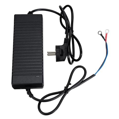 Wcybym Convertidor De 110V A 12V - Fuente De Alimentación para Coche De 180W - Adecuado para Caravanas 5KW/8KW con Transformador 110V a 12V - para Uso En Interior Y Exterior Taller Hogar Garaje Y