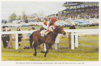 Hardcover Mainly Fun and Horses Book