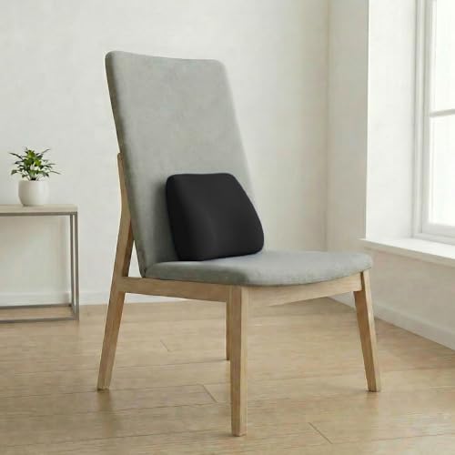 SleepyCat Lumbar Seat Cushion | Ergonomic Portable Back Support |...