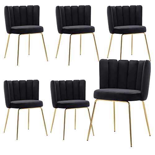Velvet Barrel Dining Chairs Set of 2 Modern Accent Chairs Upholstered Host Side Chairs with Gold Metal Legs for Home Kitchen Living Room, Rose