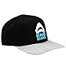 DC Comics Suicide Squad King Shark Pre-Curved Snapback Hat