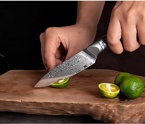 Set Cuchillos Cocina 9 Piezas Acero Aleado miniatura 7