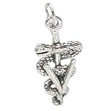 Tierarzt Symbol Sterlingsilber Charm .925 x 1 Tierärzte Tierarzt Anhänger sslp3400