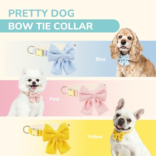 Collar para perro terciopelo azul talla S ajustable miniatura 6