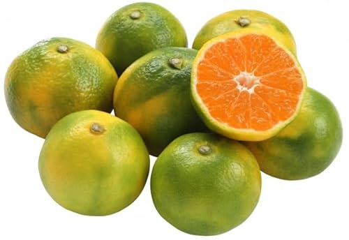 鹿児島県産 ハウスみかん・パッションフルーツ詰合せセット