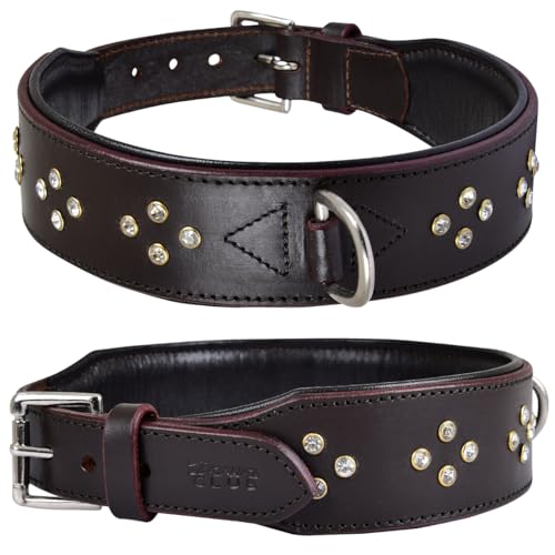 DowgClub Genuine Leather ‘Cupola’ Series Dog Collar | Rhinestone | Soft, Cushion Padding, Handmade | Best for Medium, Large, XL Breeds (M (Neck Size 14.5"-18.5"), Silver Rhinestones, Crimpson)