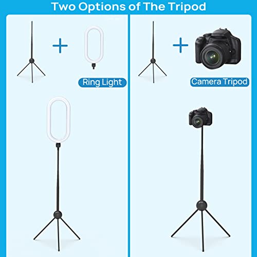 Ring Light 14" With Tripod Stand And Phone Holder 75" Tall Selfie Lights For Tiktok Phone Videos Led Circle Halo Lighting For Desk Makeup Video Photography Studio Vlog Recording #TOP5