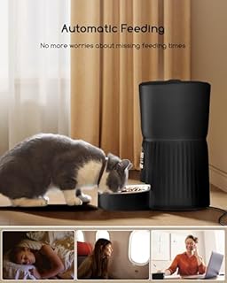 Faroro Distributore Automatico Cibo Gatti, 4L Dispenser Crocchette Gatto con 1-6 Pasti Al Giorno, Porzioni Regolabili, Voce 10s, Alimentazione Lenta (Nero)