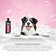 GROOM PROFESSIONAL Almond Detangle Hundeshampoo - Entwirrendes Shampoo für Hunde - Hundeshampoo Gegen Geruch - Beseitigt Verfilzungen & Verknotungen - Für Verfilzte & Verknotete Mäntel, 450ml