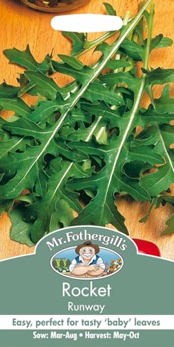 Mr Fothergill's Rocket Runway