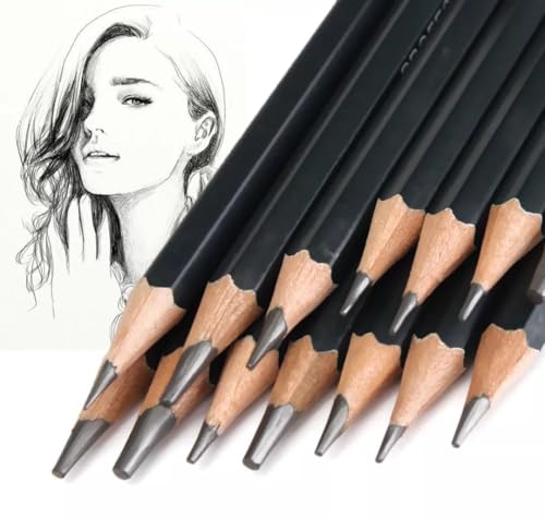 Image of PAXCOO Set of 12 Pcs Professional Drawing Sketching Pencil Drawing Art Pencils Graphite Shading Pencils for Beginners & Pro Artists Professional Sketch,Suitable for Art Design, Shading, Adults & Kid
