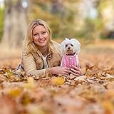 Dolahovy Hunde Hoodie Kleidung für Haustiere Weiche Herbst Winter Welpen Pullover Fleece Hundejacke Mäntel Baumwolle Hunde Outfit für Chihuahua Teddy Kleine Mittlere Hunde Katzen Rosa