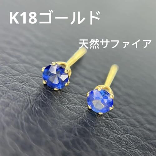 K18S[hVRTt@CAsAXCAOЎANZT[WG[