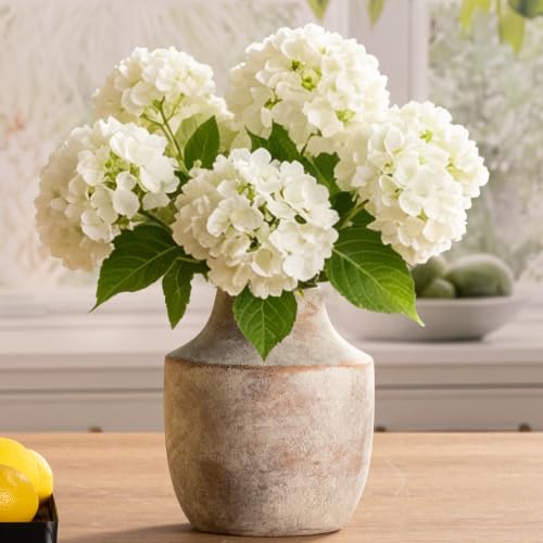 Mitt&Ditt Ceramic Flower Vase, 7.5 inch Off-White Farmhouse Rustic Vase, Handcrafted Weathered Pottery Vases, Small Flower Terracotta Vases for Home Decor, Living Room, Table, Shelf by Mitt&Ditt - Used condition - CA$19.10