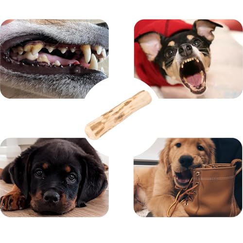 HYZSHL 3 Stück Kaffeeholz für Hunde, Natürliches Kauholz für Kleine und Mittlere Hunde, Ideal für Zahnreinigung und Stressabbau, 14 cm Lange ﻿