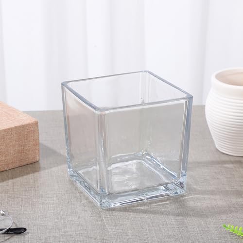 Jarrón de vidrio cúbico resistente y moderno para flores HANABASS 5