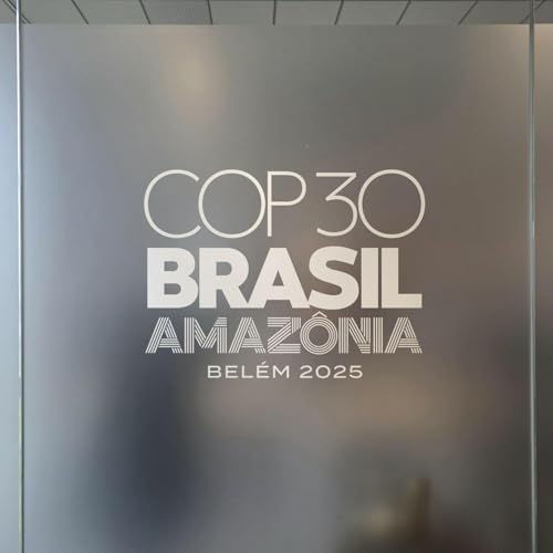 COP30: What are the red-line issues being discussed?