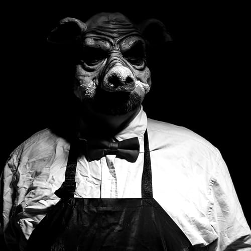 Page de couverture de Brandon Schultz - Imagitale Ent. Writer / Directror of the upcoming DC Comics Horror Fan Film "Pyg"