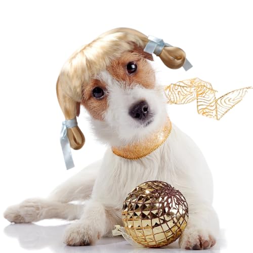 IMIKEYA pEBbO uh 킢ybgpwbhEFA nEB p[eB[ RXv Lpt@bVANZT[