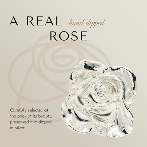 Image of Forever Rose Real Rose Dipped in Silver, Luxury Gold Gift Box