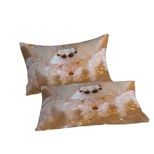 Housse de couette araignée imprimé 3D taies d'oreiller microfibre