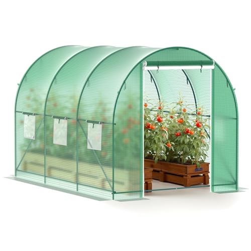 Walk-in Greenhouse with Ventilated Windows and Reinforced Frame