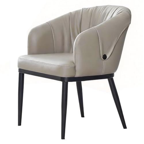 ZTGL Silla De Cocina con Patas De Metal, Sillas Modernas para Comedor