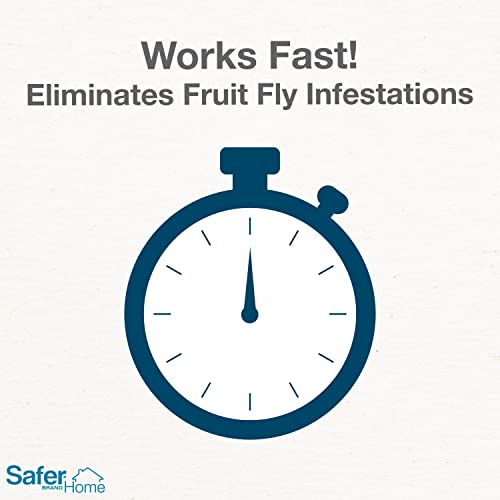 Safer Brand Home Sh500Sr Indoor Fruit Fly Trap – Ready-To-Use, Non-Staining, No Synthetic Insecticides – 2 Traps, Blue #TOP1