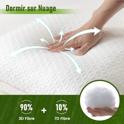 Oreillers 60x60 Bambou Hypoallergéniques Meishi