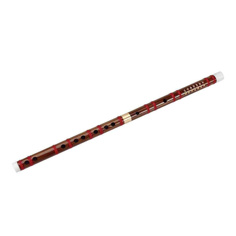 Flauta, Instrumento Musical Chino Profesional, Flauta de bambú Dizi Hecha a Mano Tradicional en Tono de tecla E para Regalo de niños Principiantes