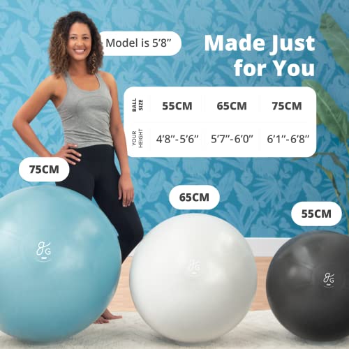 Greater Goods Professional Exercise Ball - Yoga Ball For Working Out, Balance, Stability, And Pregnancy | Medicine Balls In Multiple Sizes And Colors | Designed In St. Louis (65Cm, Deep Sky Blue) #TOP2