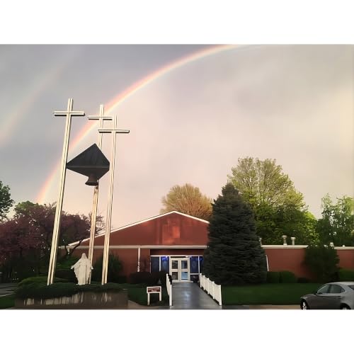 Sermon for the Sixth Sunday after Trinity, July 12th, 2026