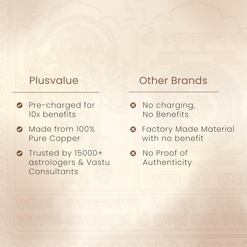 Plus Value Panchmukhi Hanuman Yantra Vastu Remedies for South, Sw Facing Main Door Home, Office, Business, Factory, Entrance Protection and Safeguard from Evil Eyes (3 x 3 Inch, Copper)