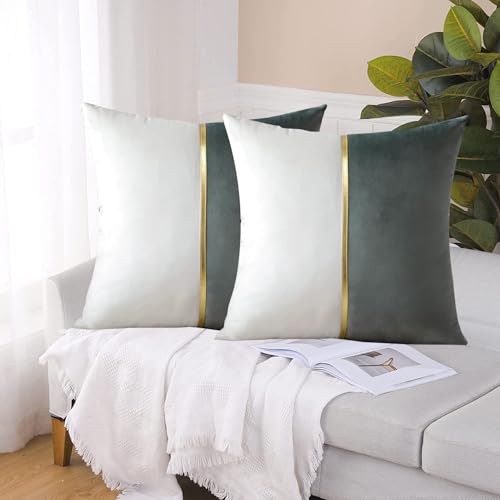 Image of HIMS Velvet Sofa Pillow Cover Set of 2, Luxury Cushion Cover 22 inch x 22 inch for Decorative Living Room Sofa Bedroom Car (22x22 Inch, Gray)