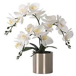 Home office ideas for women Home office decor flowers