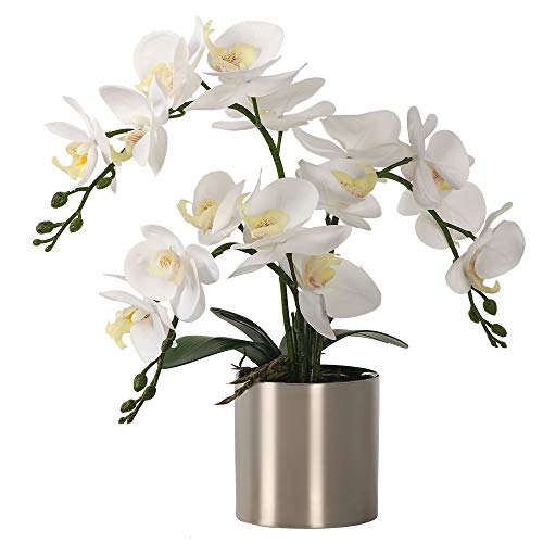 LESING Flor Artificial de Orquídea Blanca Phalaenopsis con Jarrón, Bonsái de Imitación, Arreglo en Maceta para Decoración del Hogar (Blanco, Jarrón Plateado)