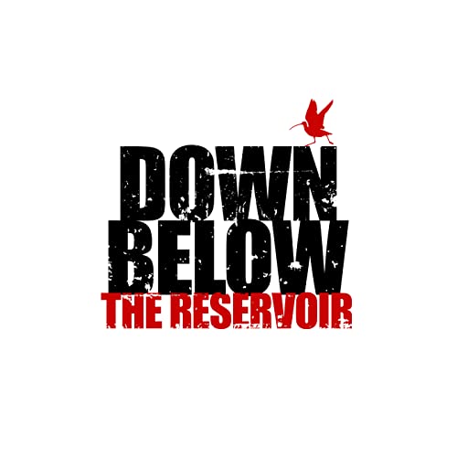 Page de couverture de Down Below the Reservoir