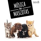 perros y gatos mas tiernos  Perros y Gatos