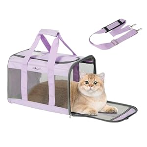 BELLA & PAL Katzentransportbox für Katzen und Welpen–Leichte faltabre Transporttasche Katze- Ausbruchsichere, Wasserdicht & Kratzfestem Netz, 42x28x28cm bis 7kg für Tierarzt/Auto/Flugzeug